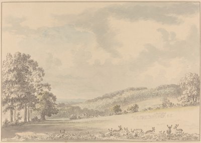 Szarvas pihen az Albury Parkban alkotó: Anthony Devis