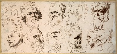 Tizenegy fej tanulmány (toll és barna tinta papíron) alkotó: Anthony van Dyck