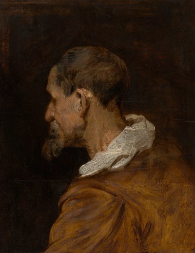 Fejtanulmány alkotó: Anthony van Dyck