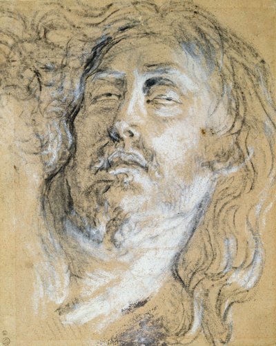 A halott Krisztus feje (faszén és kréta papíron) alkotó: Anthony van Dyck