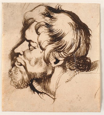 Egy férfi feje alkotó: Anthony van Dyck