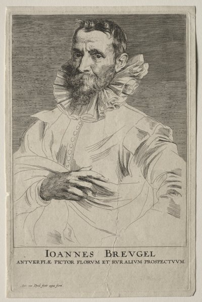 Jan Brueghel portréja. alkotó: Anthony van Dyck
