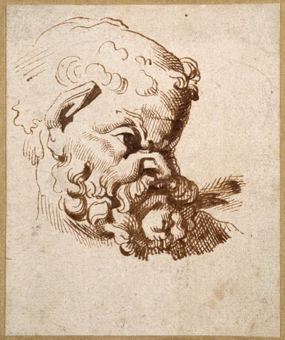 Egy antik Silenus fej tanulmányozása (toll és tinta papíron) alkotó: Anthony van Dyck