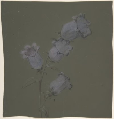 Canterbury Bells permetezése alkotó: Antoine Berjon