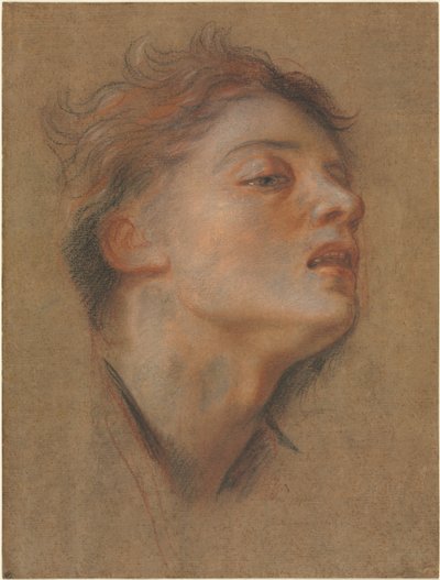 Egy fiatalember feje alkotó: Antoine Coypel