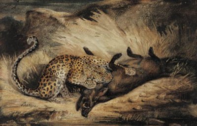 Leopárd megeszik egy vaddisznót. alkotó: Antoine Louis Barye