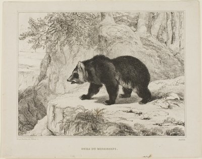 Mississippi Medve alkotó: Antoine Louis Barye