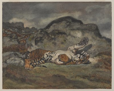Guruló tigris, 1840 körül (wc papíron) alkotó: Antoine Louis Barye