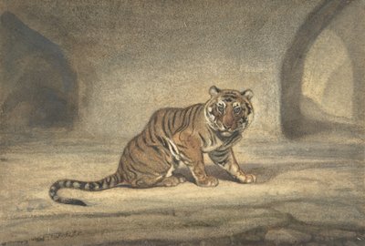 Tigris, 1810-75. alkotó: Antoine Louis Barye