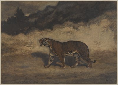 Tigris balra sétál (wc papíron) alkotó: Antoine Louis Barye