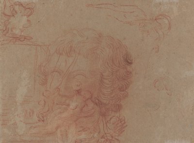Ábravázlatok és másolat egy faragott fej után [verso] alkotó: Antoine Watteau