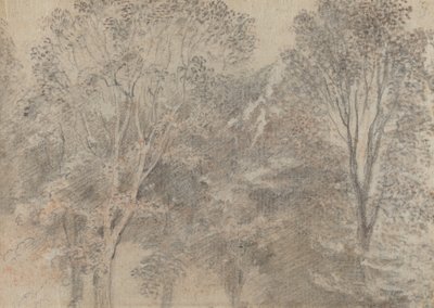 Fák teteje [verso] alkotó: Antoine Watteau
