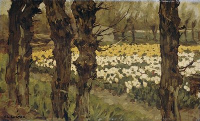 Tulipán mezők alkotó: Anton L. Koster
