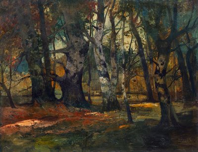 őszi erdő alkotó: Anton Müller Wischin