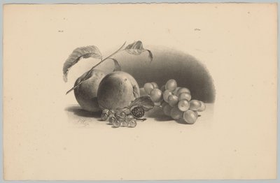 Alma, bogyós gyümölcsök, szeder és szőlő Flower and Fruit Studies (...) 3. epizód (sorozat címe) alkotó: Anton Weiss