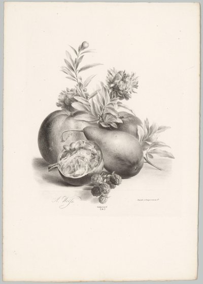 Virágok, alma, körte, gránátalma és szeder Flower and Fruit Studies (...) 10. epizód (sorozat címe) alkotó: Anton Weiss