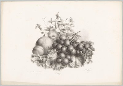 Virágok, őszibarack, nektarin, szőlő és szeder Flower and Fruit Studies (...) 10. epizód (sorozat címe) alkotó: Anton Weiss