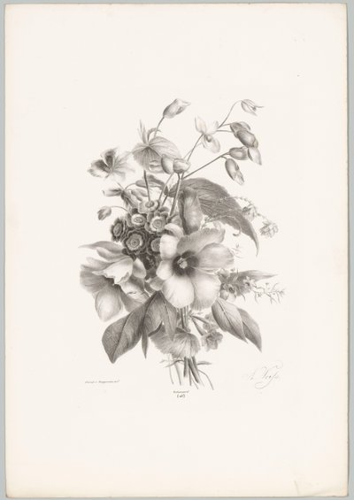 Különféle virágok Flower and Fruit Studies (...) 10. epizód (sorozat címe) alkotó: Anton Weiss