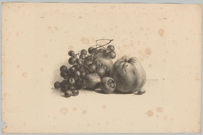 Szőlő és alma Flower and Fruit Studies (...) 3. epizód (sorozat címe) alkotó: Anton Weiss