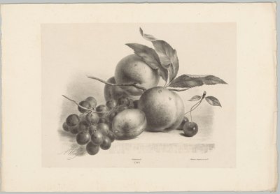 Szőlő, szilva, őszibarack és cseresznye Flower and Fruit Studies (...) 10. epizód (sorozat címe) alkotó: Anton Weiss