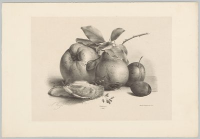 Gyümölcs, szilva és osztriga Flower and Fruit Studies (...) 10. epizód (sorozat címe) alkotó: Anton Weiss
