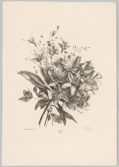 liliomok Flower and Fruit Studies (...) 10. epizód (sorozat címe) alkotó: Anton Weiss
