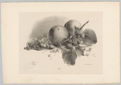 Őszibarack, bogyós gyümölcsök, mogyoró és szeder Flower and Fruit Studies (...) 10. epizód (sorozat címe) alkotó: Anton Weiss