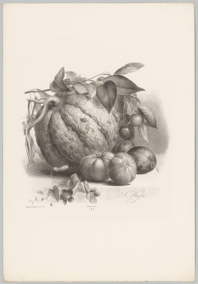 Sütőtök, paradicsom és cseresznye Flower and Fruit Studies (...) 10. epizód (sorozat címe) alkotó: Anton Weiss