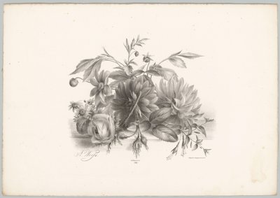 Rózsák, dáliák és fukszia Flower and Fruit Studies (...) 10. epizód (sorozat címe) alkotó: Anton Weiss
