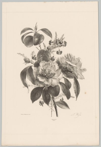 Rózsák és egyéb virágok Flower and Fruit Studies (...) 10. epizód (sorozat címe) alkotó: Anton Weiss