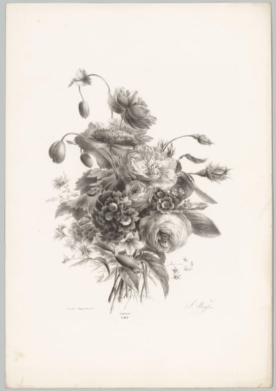 Rózsák és egyéb virágok Flower and Fruit Studies (...) 10. epizód (sorozat címe) alkotó: Anton Weiss