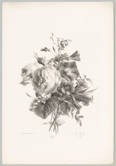 Rózsák és kehely alakú virágok Flower and Fruit Studies (...) 10. epizód (sorozat címe) alkotó: Anton Weiss