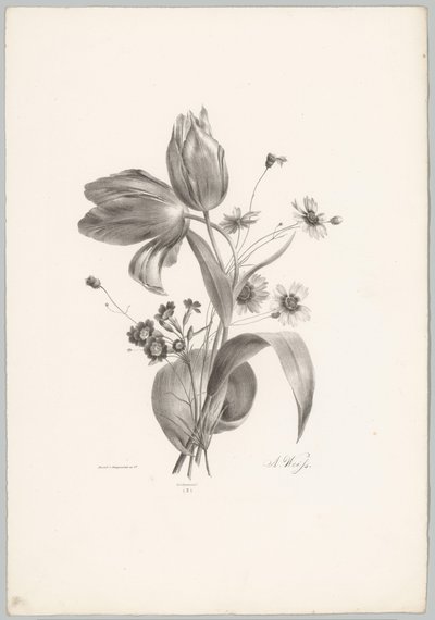 Tulipánok és százszorszépek Flower and Fruit Studies (...) 10. epizód (sorozat címe) alkotó: Anton Weiss