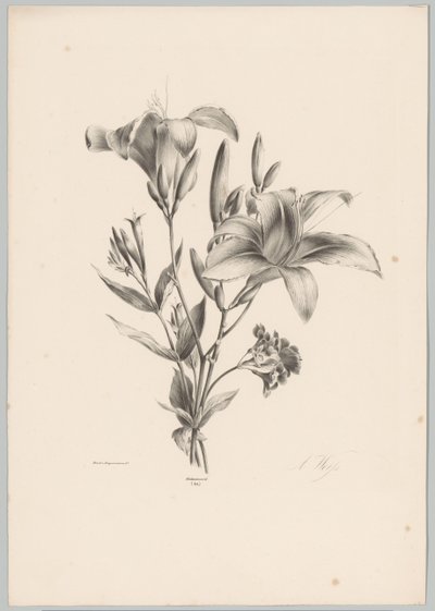 Két liliom Flower and Fruit Studies (...) 10. epizód (sorozat címe) alkotó: Anton Weiss