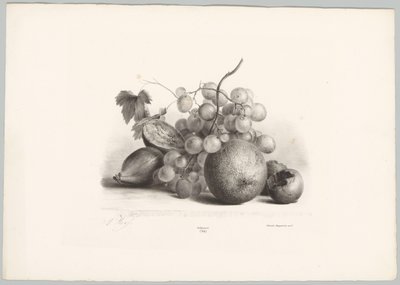 Füge, szőlő és narancs Flower and Fruit Studies (...) 10. epizód (sorozat címe) alkotó: Anton Weiss