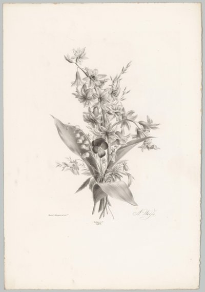 Árvácska és jácint és harang alakú virágok Flower and Fruit Studies (...) 10. epizód (sorozat címe) alkotó: Anton Weiss