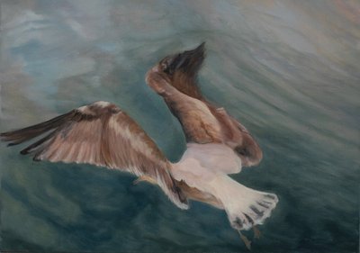 Seagull coming into land, 2012 (oil on canvas) alkotó: Antonia Myatt