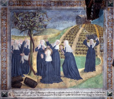 Szent Francoise Romaine élete: a nővérekkel a szőlőt gondozó szent januárban szőlőt hoz létre (Freskó alkotó: Antoniazzo Romano