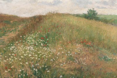 1897 nyarán. alkotó: Antonin Slavicek