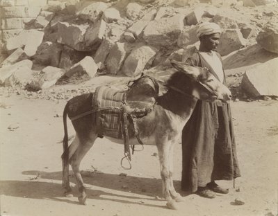 Bourier és Bouriquer, Egyiptom alkotó: Antonio Beato