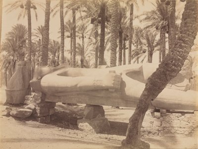 Ramszesz szobra Szakkarában, kb. 1870-1880-as évek. alkotó: Antonio Beato