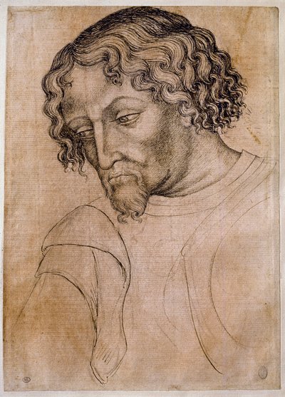 Szakállas férfi mellszobra, háromnegyed feje balra dől. Antonio di Puccio Pisano dit Pisanello (1395-1455) műhely rajza. Toll (rajz), vér. Mérete: 28x20 cm. Louvre, rajzoló cég alkotó: Antonio Pisanello