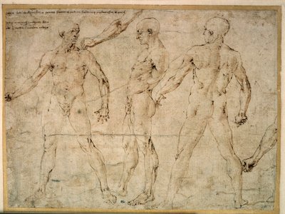 Három meztelen férfi. Antonio Pollaiuolo (Pollaiolo) rajza (1432-1498) alkotó: Antonio Pollaiuolo