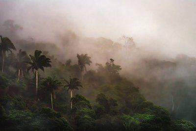 Corcovado XIX, 2020 (digitális fénykép) alkotó: Antonio Schubert