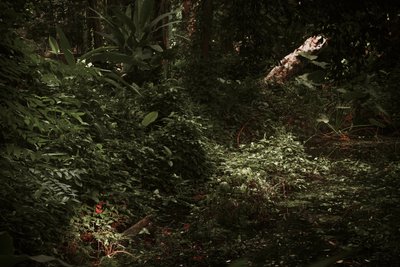 Fény és árnyék, 2025 (digitális fényképezés) alkotó: Antonio Schubert