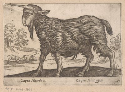 Egy szarvú kecske Capra Silvestris/ Capra Selvaggia (cím a tárgyon) Dieren en fablewezens (sorozat címe) A világ legkíváncsibb állatainak új gyűjteménye (sorozat címe) alkotó: Antonio Tempesta