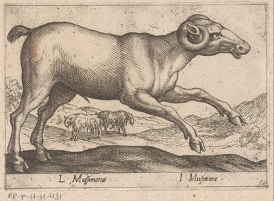 kecskeszagú L Mussimonae/ I Musimone (cím a tárgyon) Dieren en fablewezens (sorozat címe) A világ legkíváncsibb állatainak új gyűjteménye (sorozat címe) alkotó: Antonio Tempesta