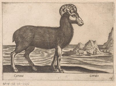 Drágakövek Cerinis / Ceruio (cím az objektumon) Dieren en fabelwezens (sorozat címe) Nova gyűjtemény a világ legkíváncsibb állataiból (sorozat címe) alkotó: Antonio Tempesta