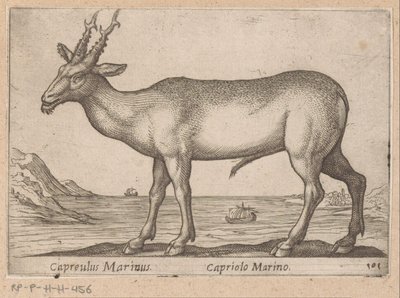 Hert Capreulus Marinus/Capriolo Marino (cím a tárgyon) Dieren en fablewezens (sorozat címe) Új kollekció a világ legkíváncsibb állataiból (sorozat címe) alkotó: Antonio Tempesta