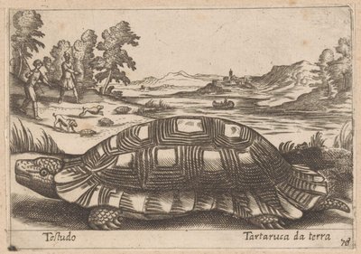 Landschildpad Testudo/ Földi teknős (cím a tárgyon) Dieren en fabelwezens (sorozat címe) Új gyűjtemény a világ legkíváncsibb állataiból (sorozat címe) alkotó: Antonio Tempesta